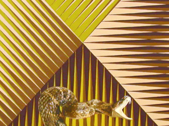 Untitled (Gold Rattlesnake)