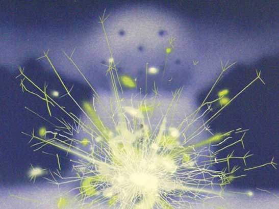 "Sparkler (lithograph)"