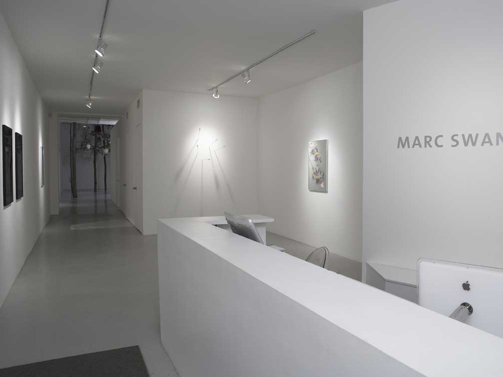 Marc Swanson Installation View