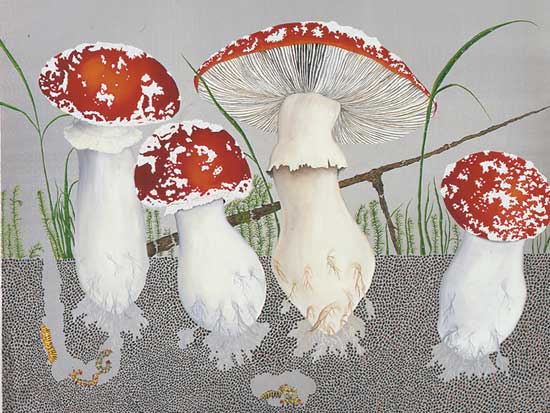 Flyagaric #2