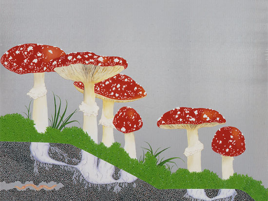 Flyagaric