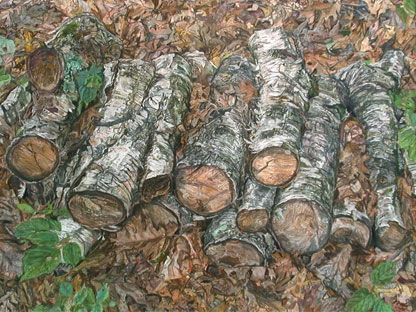 Log Pile