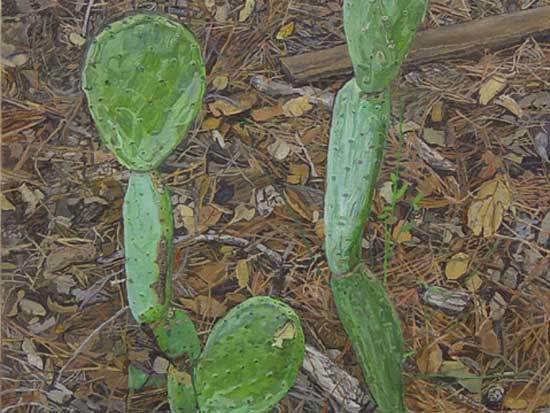 Two Plants